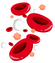 gl-cord-blood-01.png