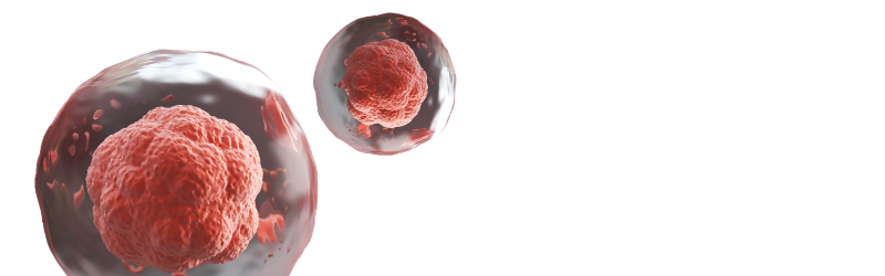 tab-stemcells-type-01.png