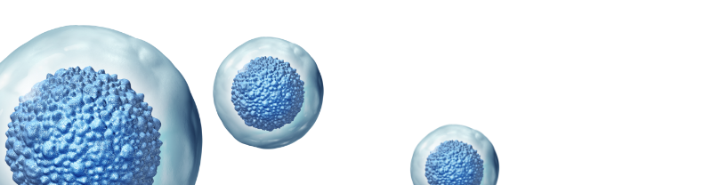 tab-stemcells-type-02.png